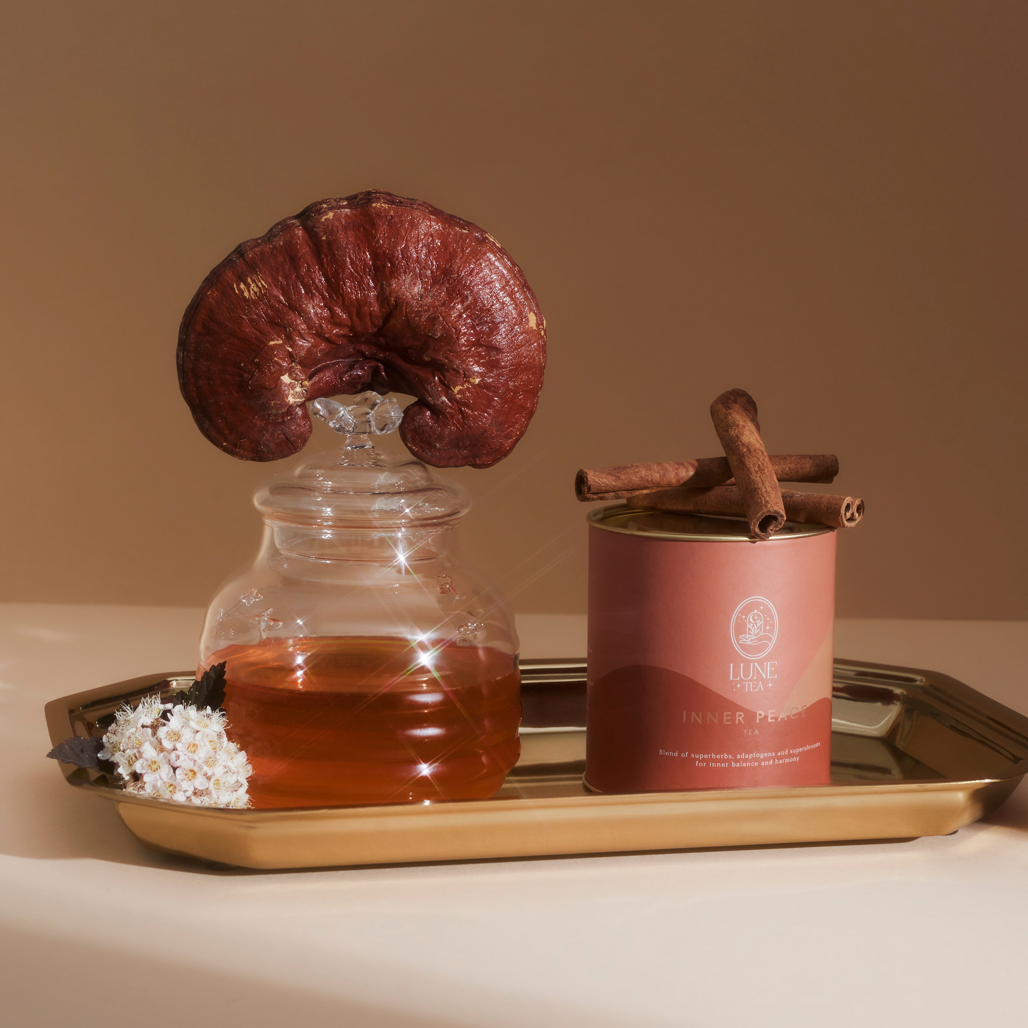 Magia ukryta w lesie — wszystko, co warto wiedzieć o grzybach adaptogennych w herbacie i nie tylko