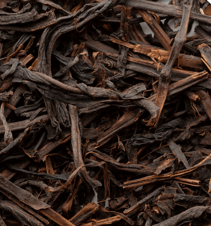 Czy herbata może zawierać plastik? Problem, o którym mówi się coraz głośniej