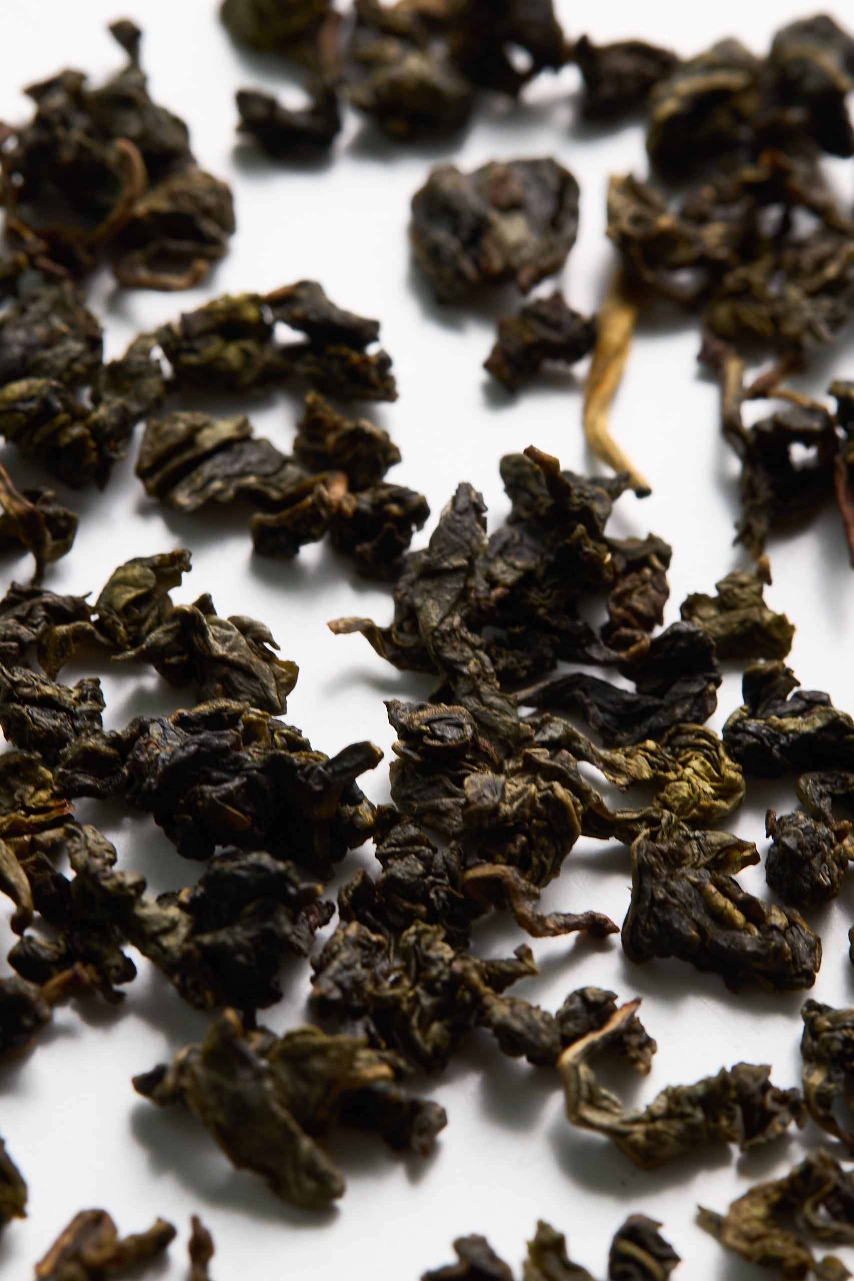 Milk Oolong - mleczny oolong z Chin