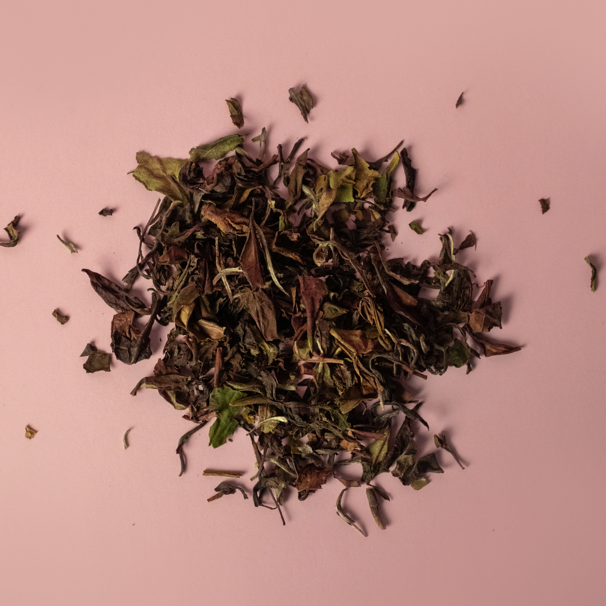 White Peony - white loose leaf tea